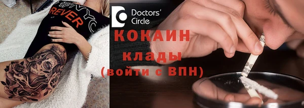 PSILOCYBIN Михайлов