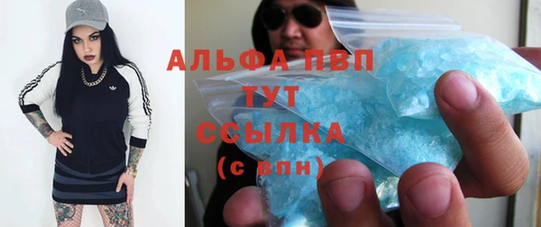 PSILOCYBIN Михайлов