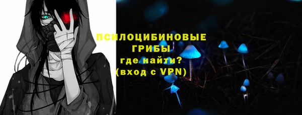 PSILOCYBIN Михайлов
