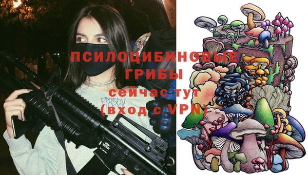 винт Михайловка