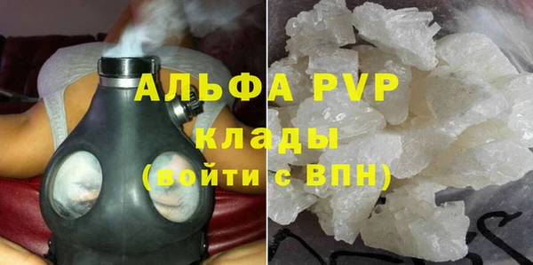 PSILOCYBIN Михайлов