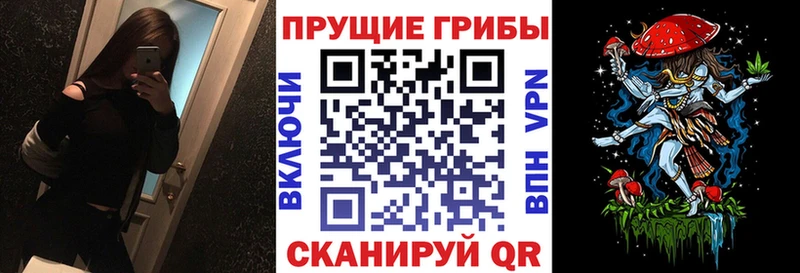 Купить закладки  Электрогорск  Псилоцибиновые грибы MAGIC MUSHROOMS 